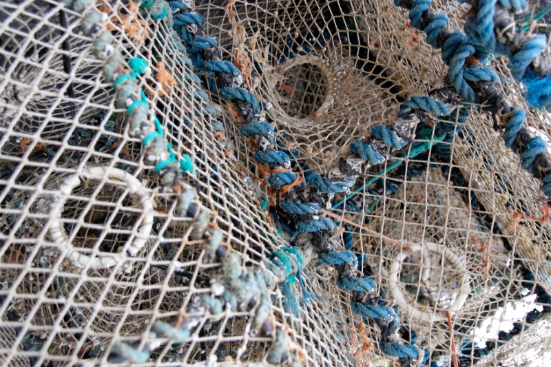 Lobster traps Scotland.jpg